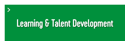Learning & Talent Development